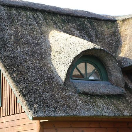 Chaumiere D'Albatre -Gite-Detente Nature Et Bien Etre Ourville-en-Caux Екстериор снимка