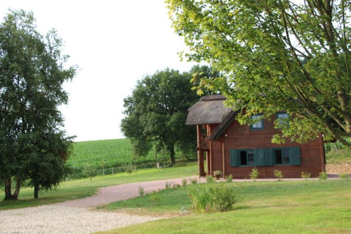 Chaumiere D'Albatre -Gite-Detente Nature Et Bien Etre Ourville-en-Caux Екстериор снимка